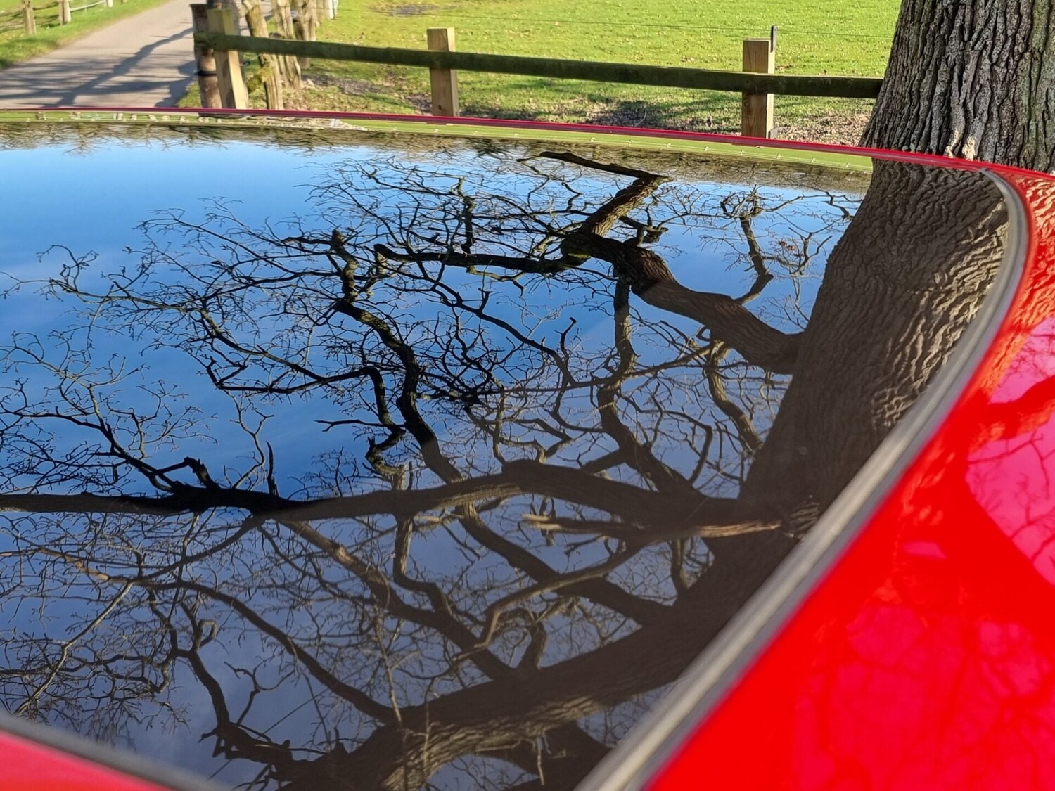 Used Land Rover Range Rover Evoque 2013 for sale - 77774557: Photo 43