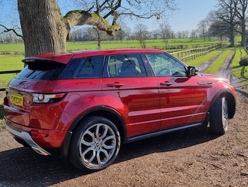 Used Land Rover Range Rover Evoque 2013 for sale - 77774557: Photo