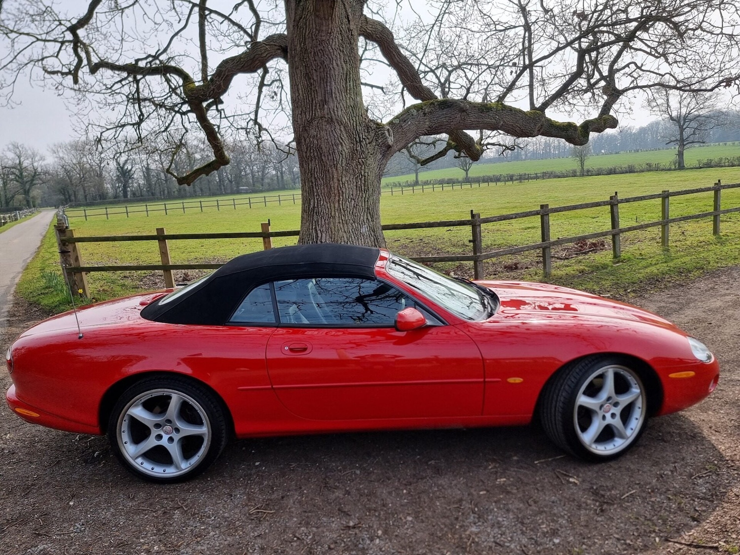 Used Jaguar XK8 2001 for sale - 77985016: Photo 30