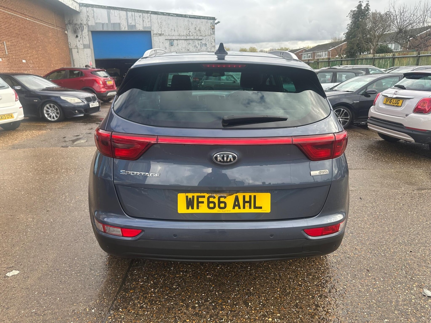 Used Kia Sportage for sale - 77704731: Photo 6