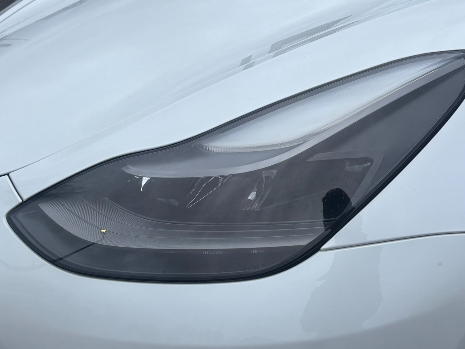 Used Tesla Model 3 2021 for sale - 77578888: Photo 26