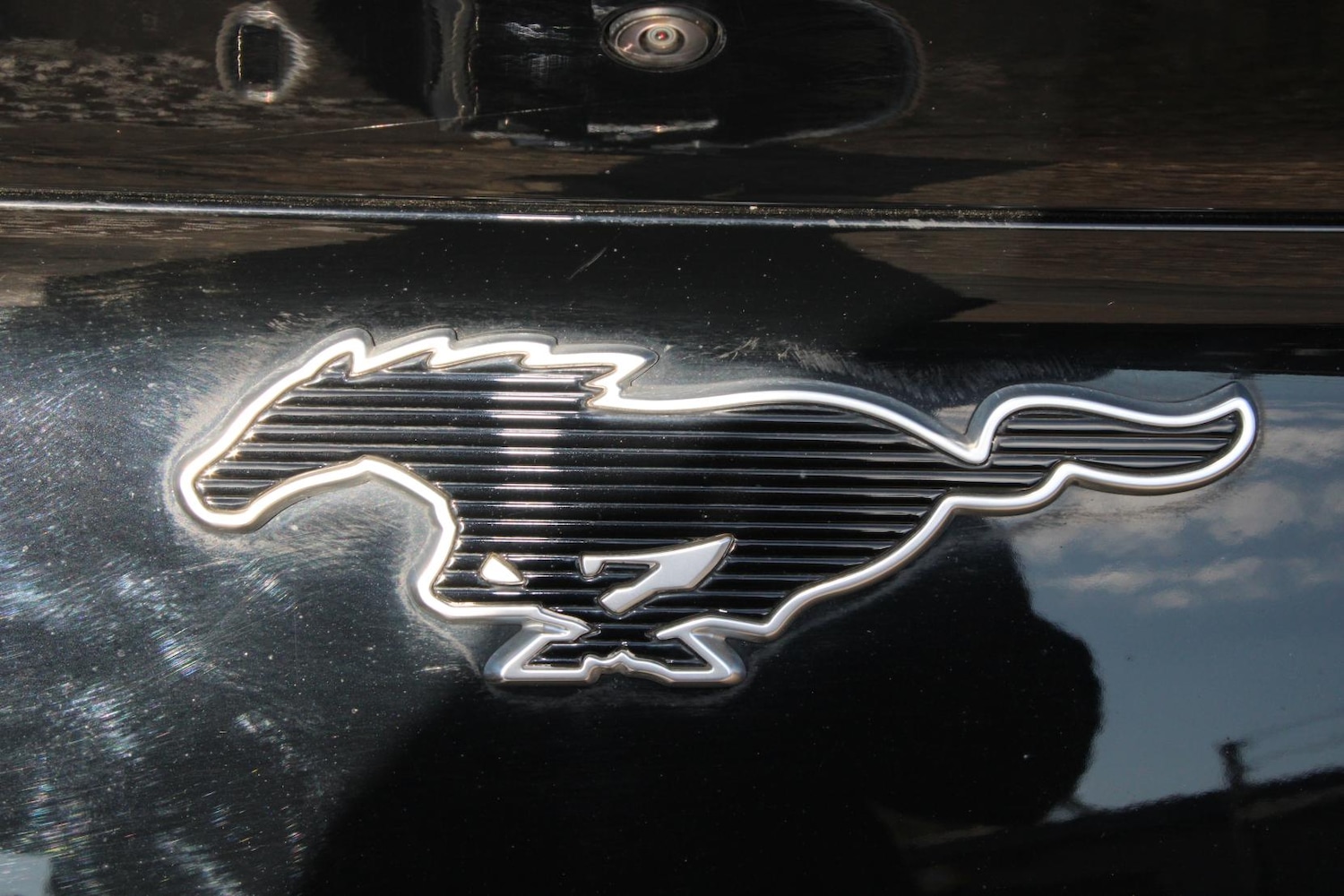 Used Ford Mustang Mach-E 2021 for sale - 76979789: Photo 75