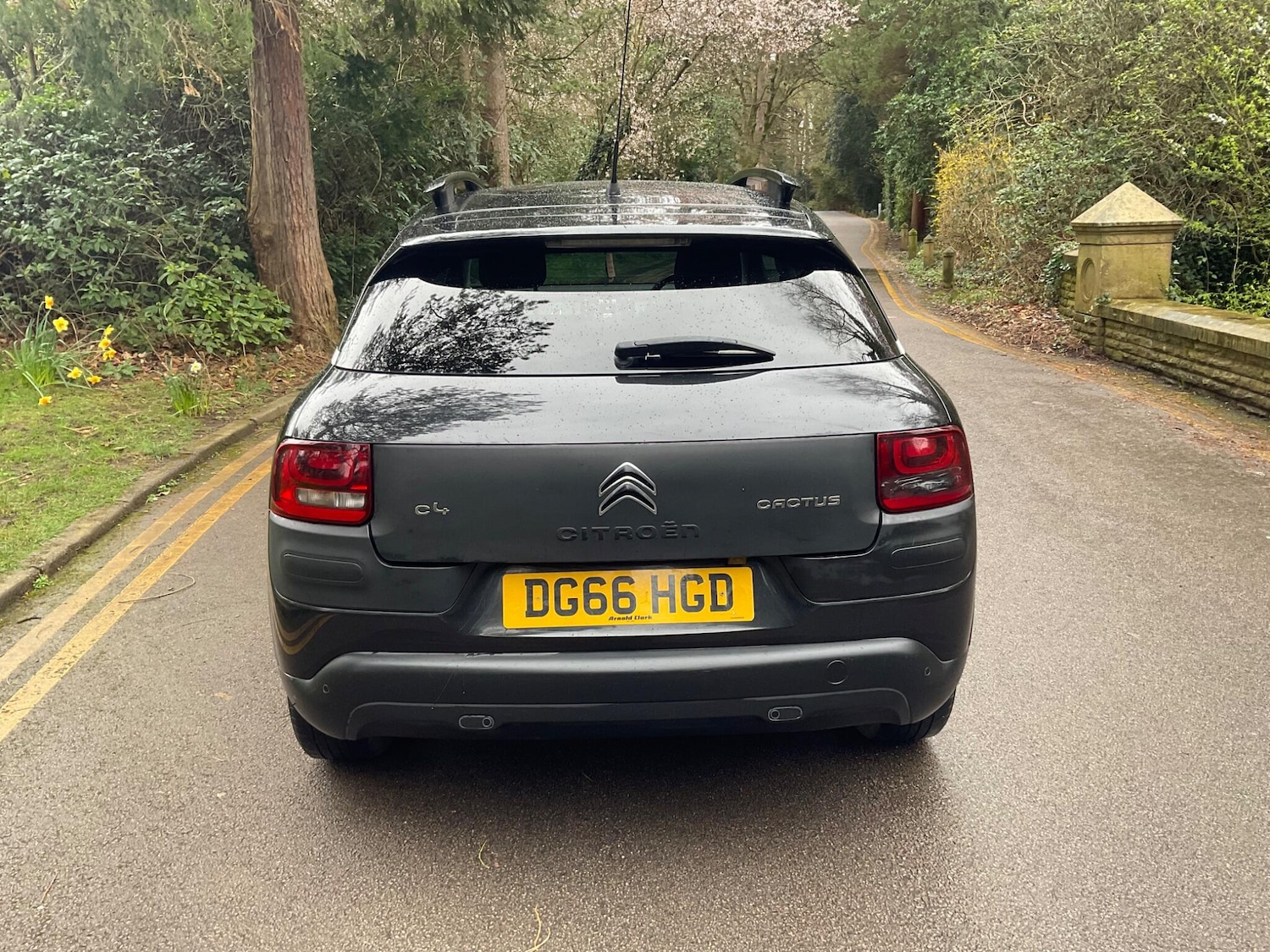 Used Citroen C4 Cactus for sale - 77909296: Photo 8