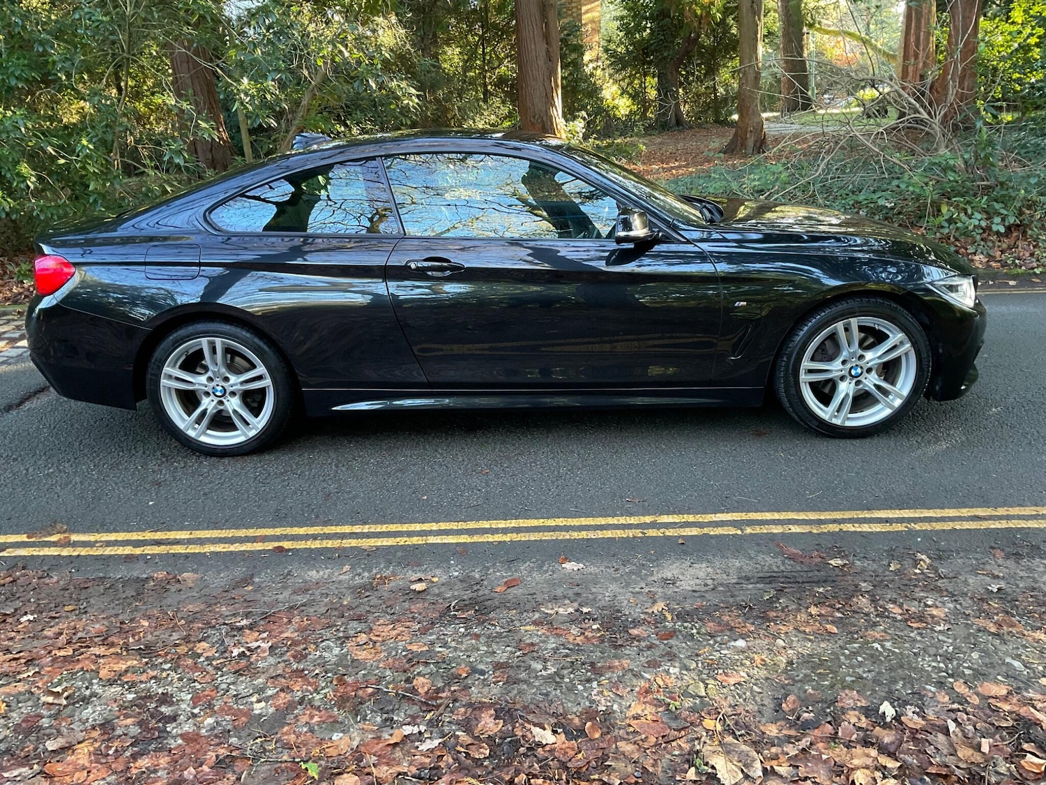 Used BMW 4 Series 2018 for sale - 76666869: Photo 10
