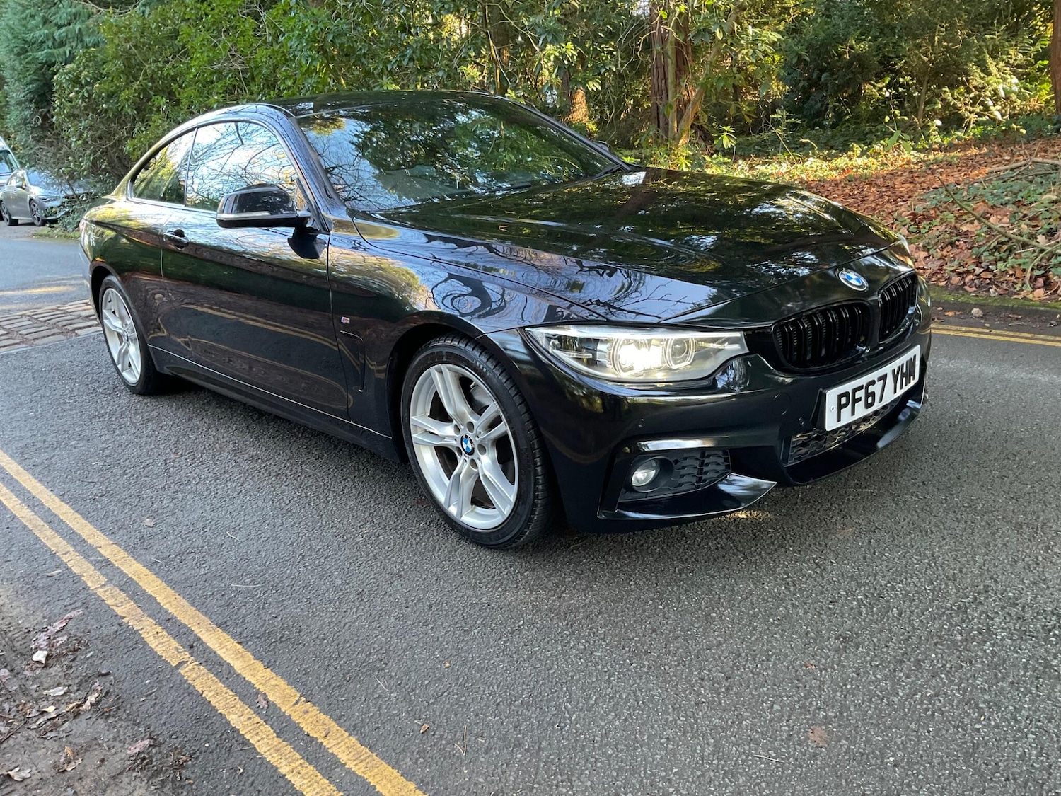 Used BMW 4 Series 2018 for sale - 76666869: Photo 3
