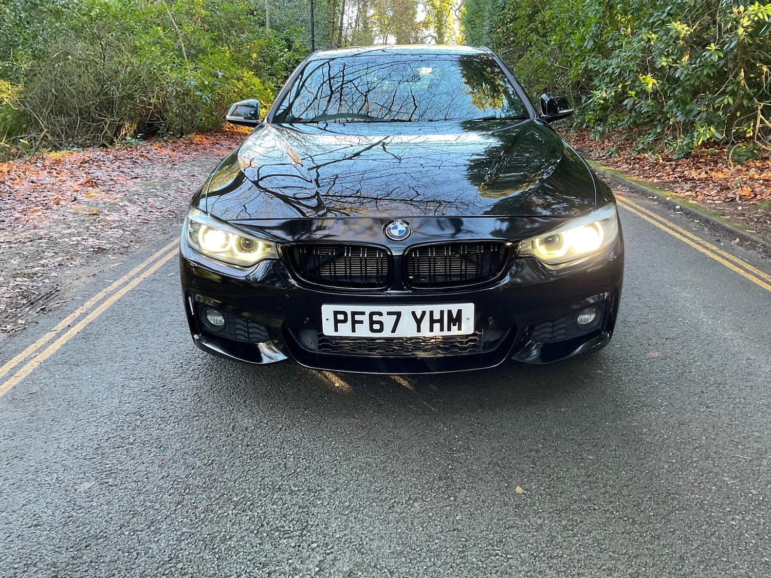 Used BMW 4 Series 2018 for sale - 76666869: Photo 4