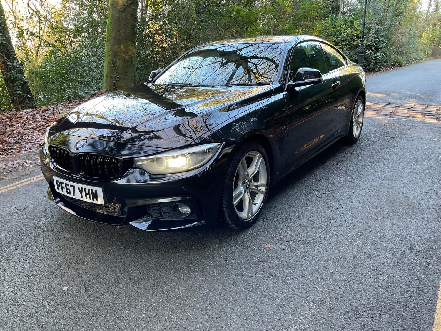 Used BMW 4 Series 2018 for sale - 76666869: Photo 5