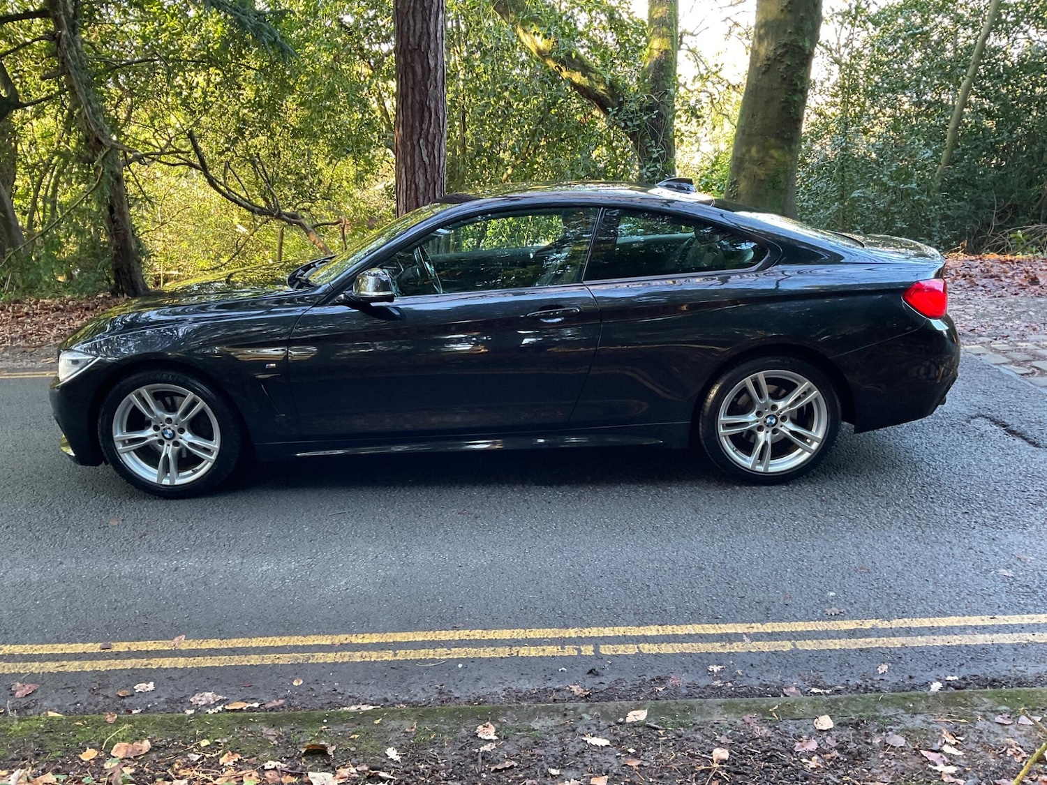 Used BMW 4 Series 2018 for sale - 76666869: Photo 6