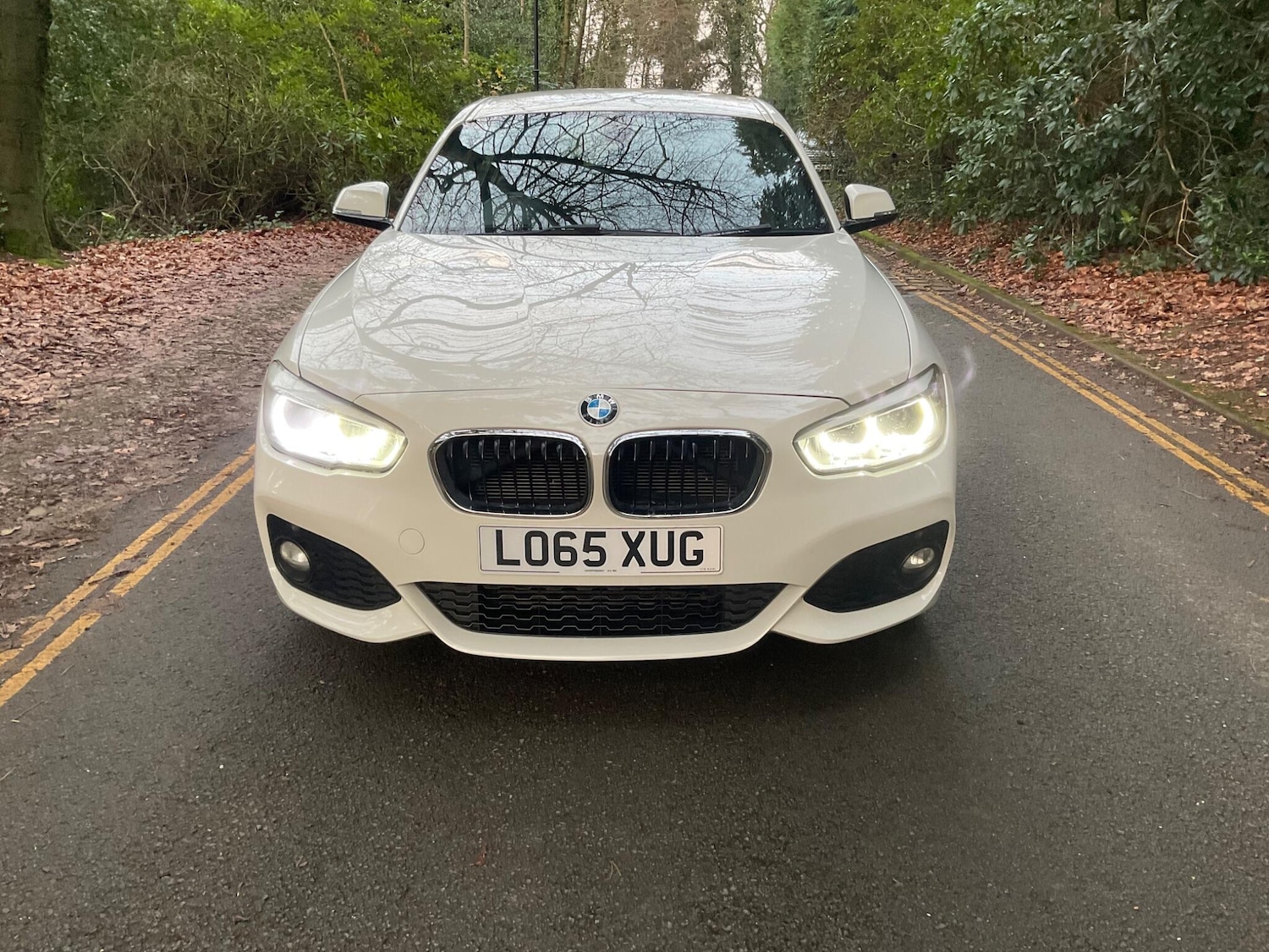 Used BMW 1 Series 2015 for sale - 76918655: Photo 4