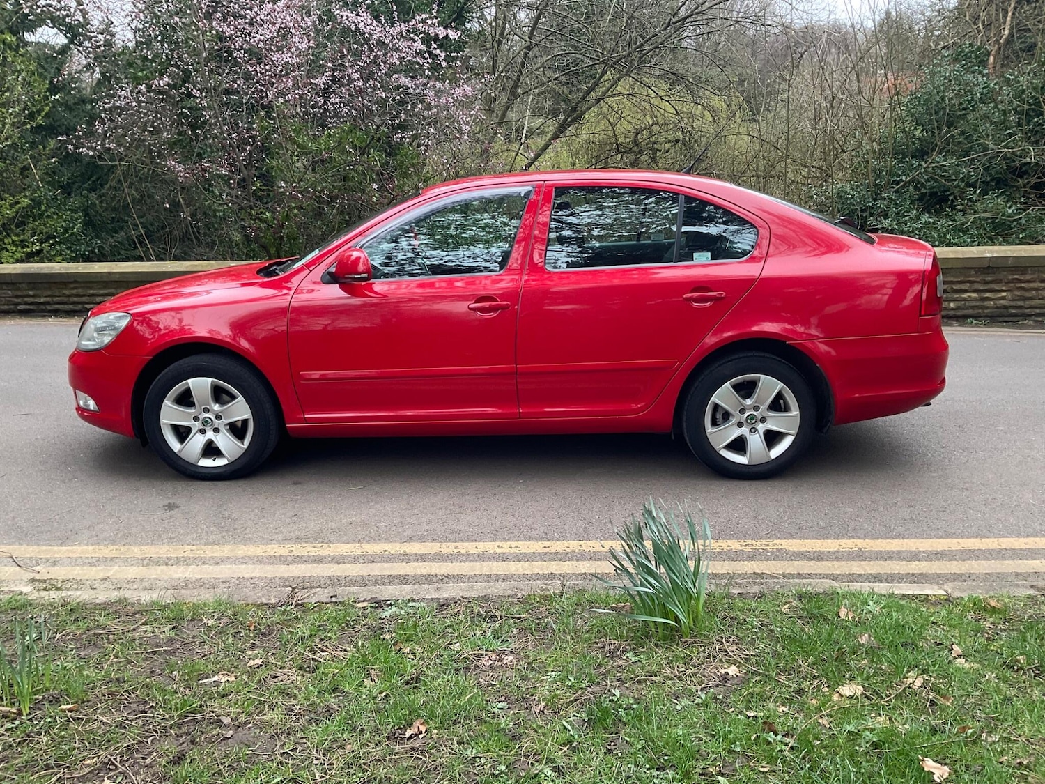 Used Skoda Octavia 2009 for sale - 77853168: Photo 6