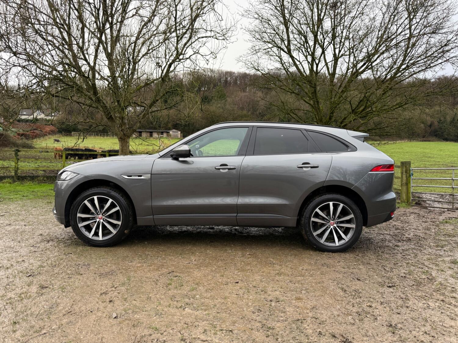 Used Jaguar F-Pace 2017 for sale - 77535872: Photo 7