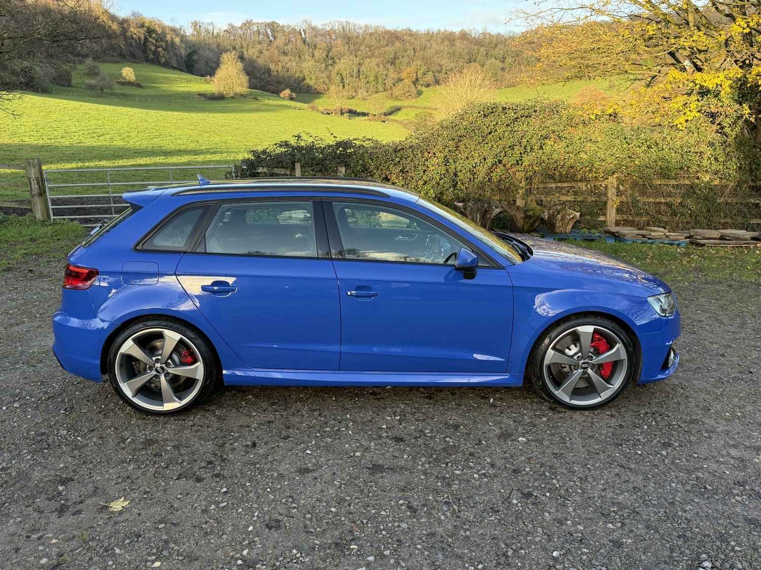 Used Audi RS3 2016 for sale - 76817526: Photo 24