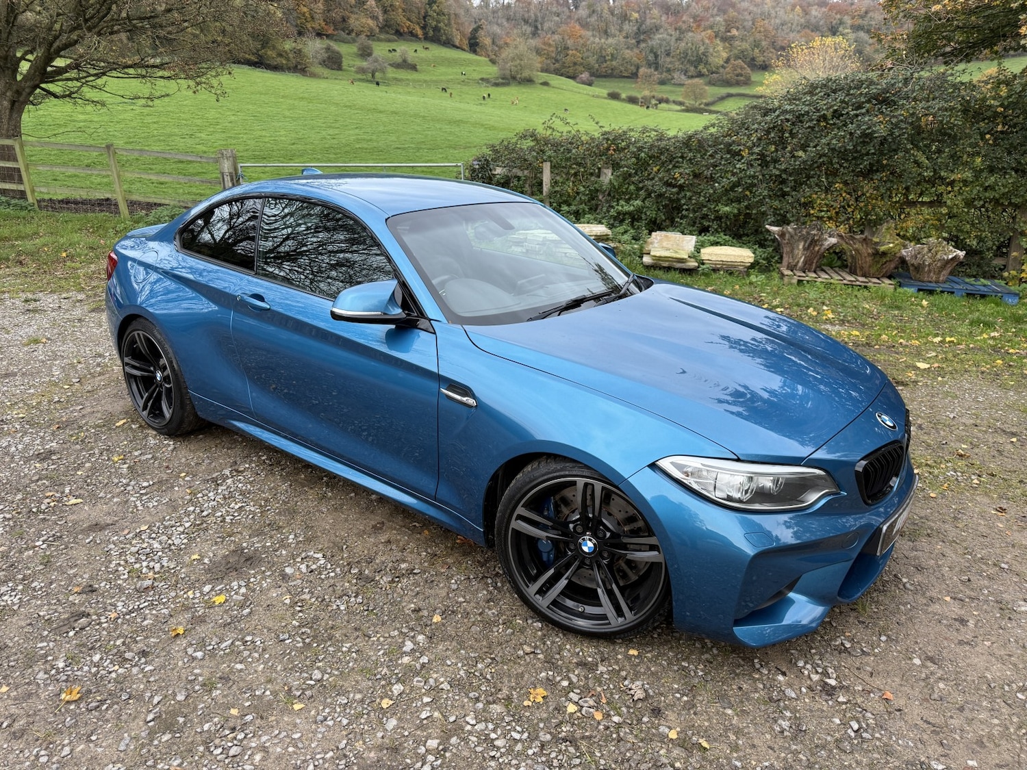 Used BMW M2 2016 for sale - 76483046: Photo 2