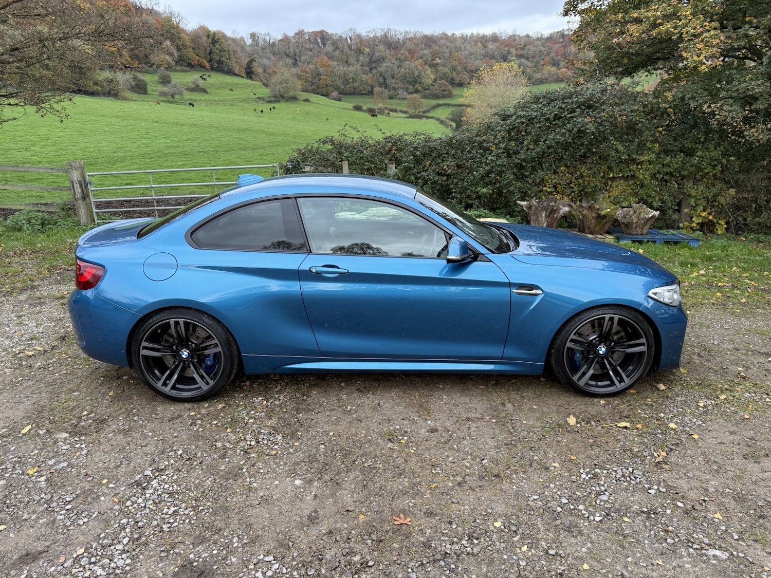 Used BMW M2 2016 for sale - 76483046: Photo 22