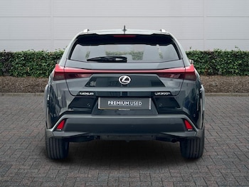Used Lexus UX 2025 for sale - 77971359: Photo