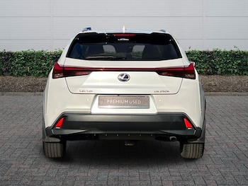 Used Lexus UX 2019 for sale - 77725067: Photo