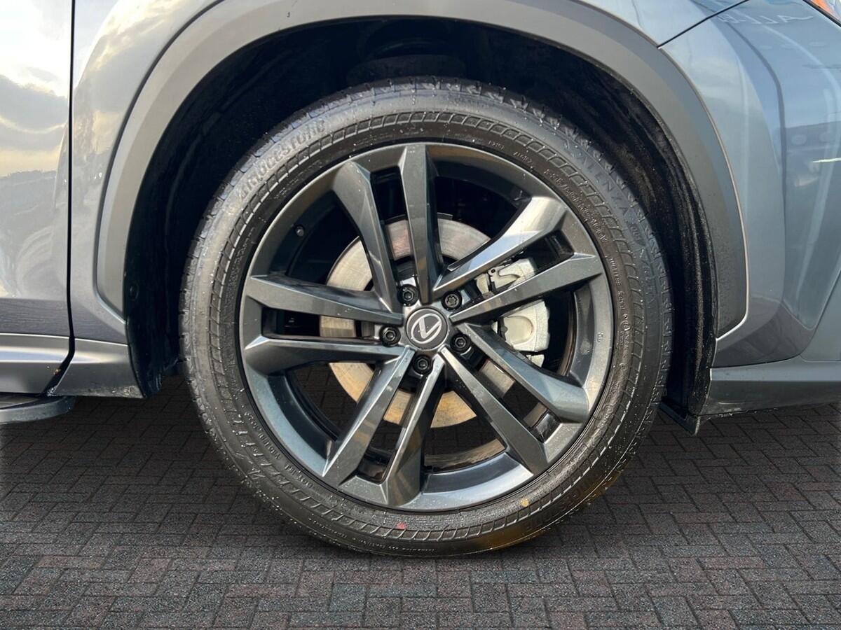 Used Lexus NX 2025 for sale - 77145328: Photo 6