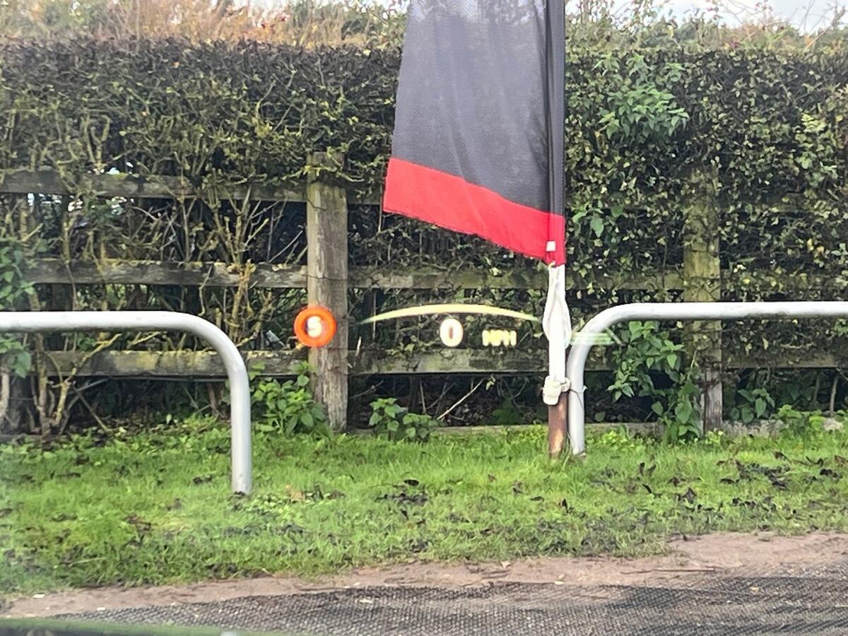 Used Lexus NX 2025 for sale - 76410285: Photo 22