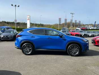 Used Lexus NX 2025 for sale - 74188957: Photo