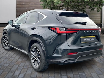 Used Lexus NX 2025 for sale - 77401188: Photo