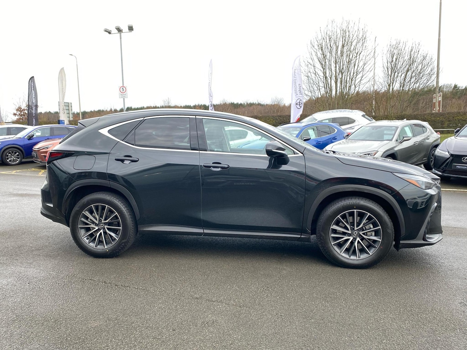 Used Lexus NX 2025 for sale - 77401188: Photo 4