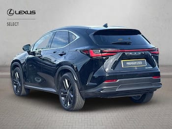 Used Lexus NX 2024 for sale - 79809185: Photo