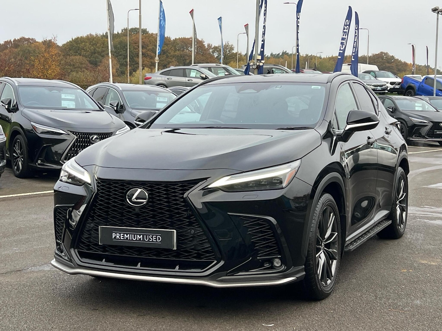 Used Lexus NX 2023 for sale - 76514396: Photo 13