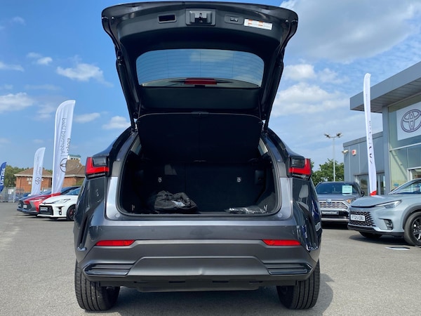 Used Lexus NX 2023 for sale - 75302542: Photo 16