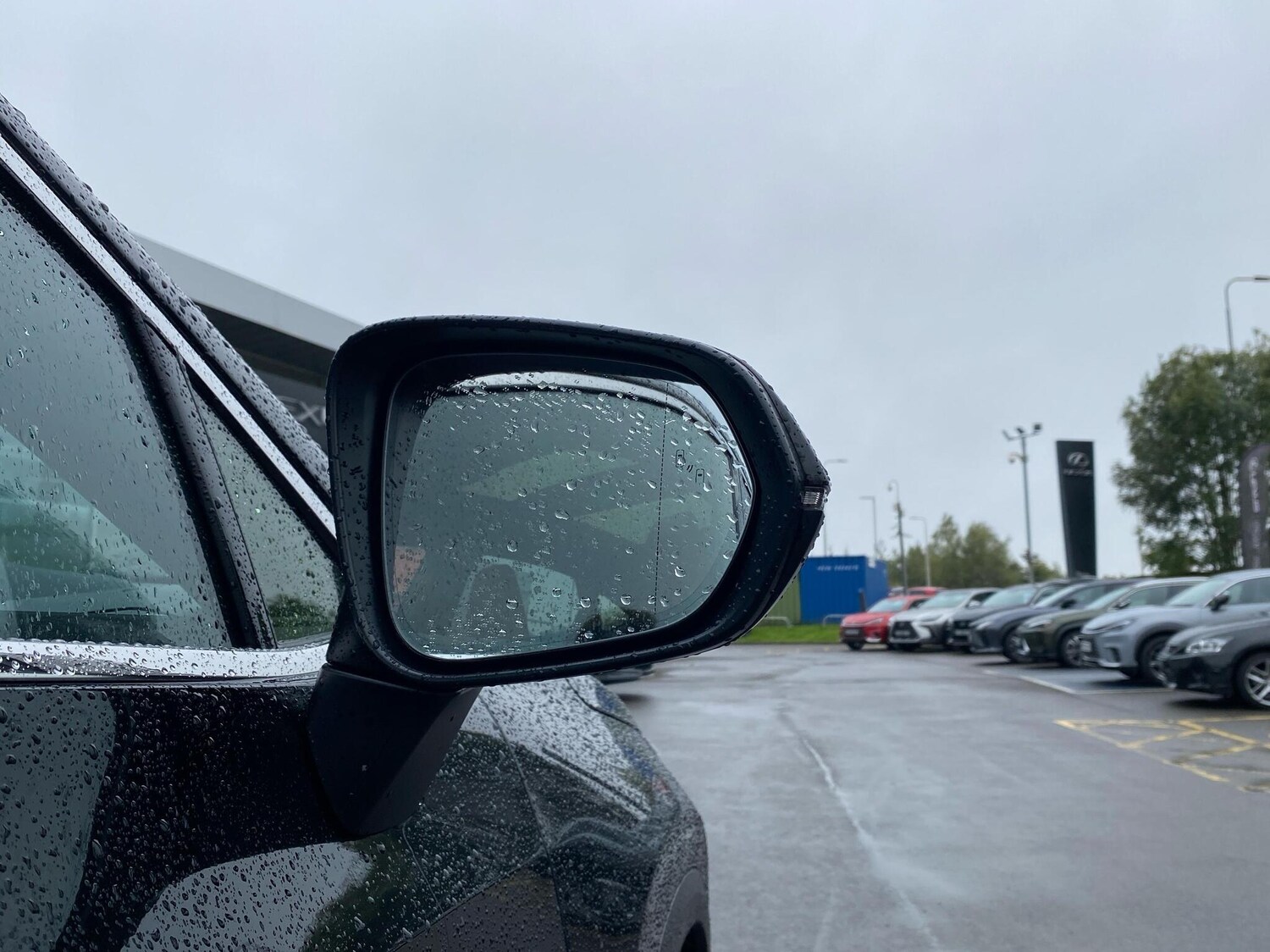 Used Lexus NX 2024 for sale - 76296984: Photo 23