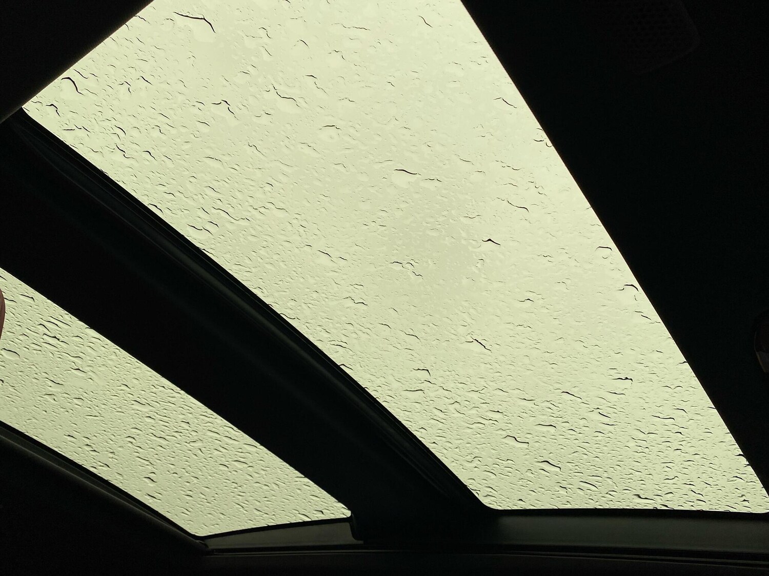 Used Lexus NX 2024 for sale - 76296984: Photo 31