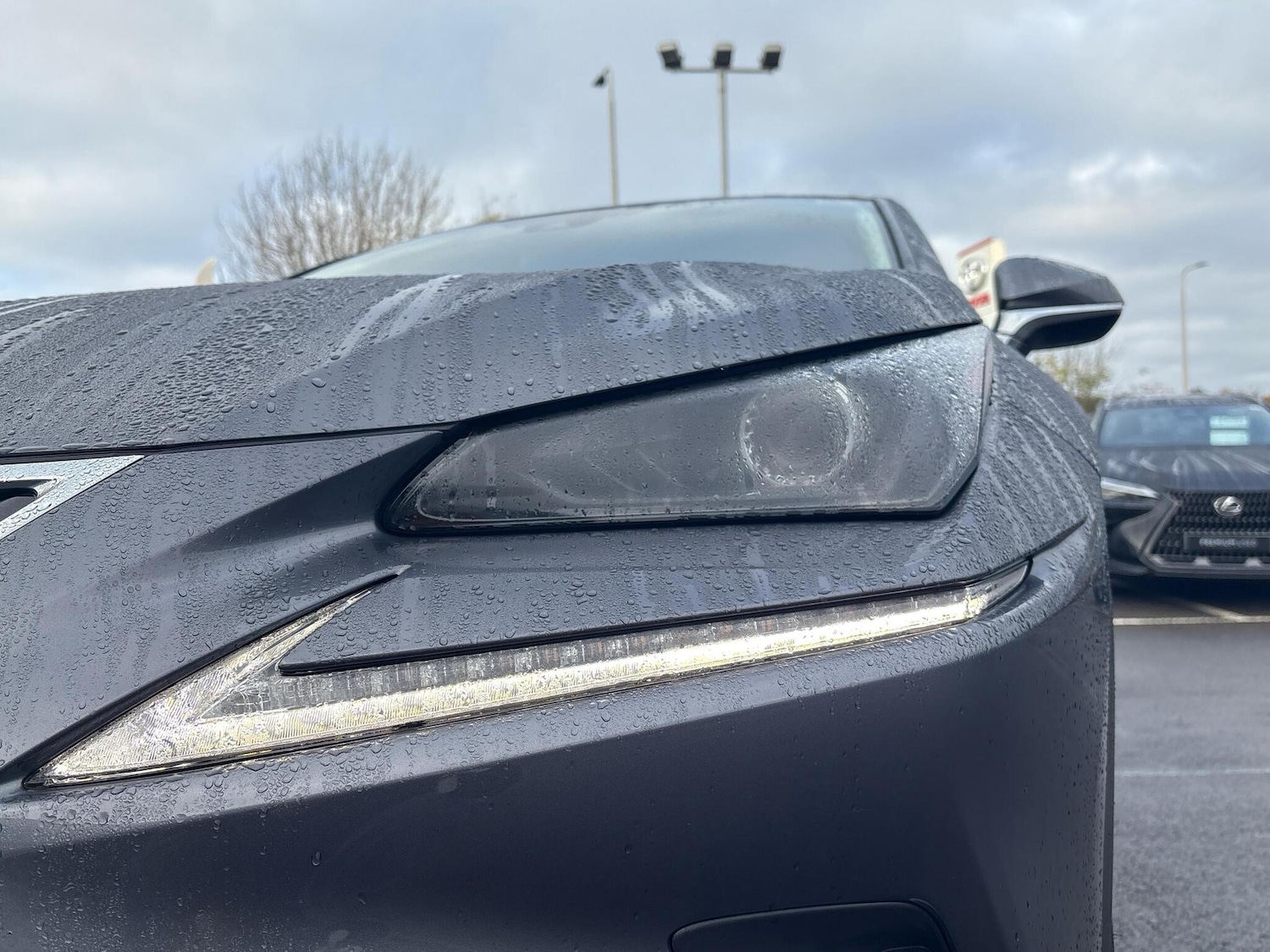 Used Lexus NX 2021 for sale - 76447061: Photo 27