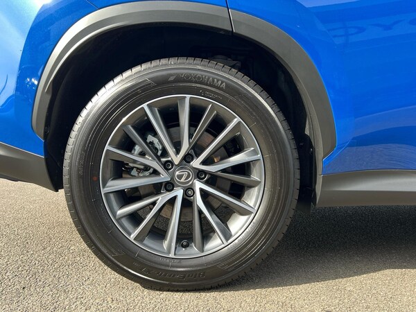Used Lexus NX 2025 for sale - 76061659: Photo 16