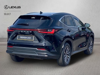 Used Lexus NX 2023 for sale - 79026896: Photo