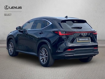 Used Lexus NX 2023 for sale - 79026896: Photo