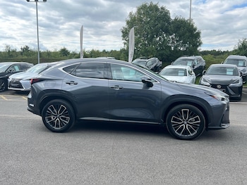 Used Lexus NX 2023 for sale - 75416354: Photo