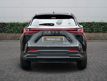 Used Lexus NX 2024 for sale - 77388461: Photo