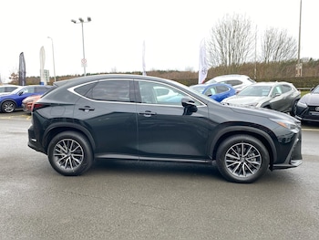 Used Lexus NX 2025 for sale - 75495049: Photo