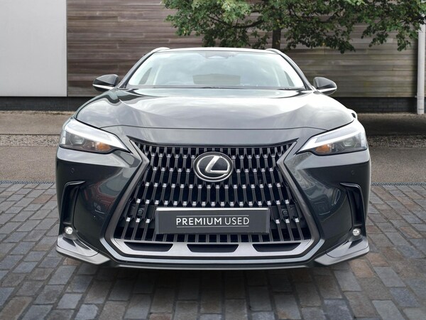 Used Lexus NX 2025 for sale - 75495049: Photo 7