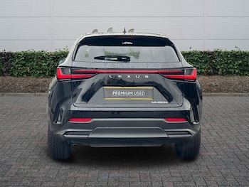 Used Lexus NX 2023 for sale - 77231610: Photo