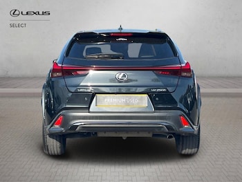 Used Lexus UX 2024 for sale - 78117337: Photo