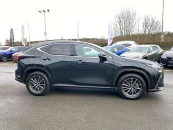 Used Lexus NX 2025 for sale - 73660659: Photo