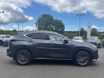 Used Lexus NX 2022 for sale - 75328086: Photo