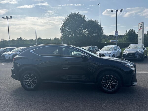 Used Lexus NX 2023 for sale - 75302551: Photo 4