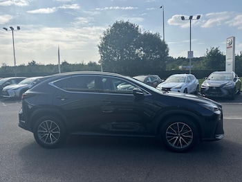 Used Lexus NX 2023 for sale - 75302551: Photo