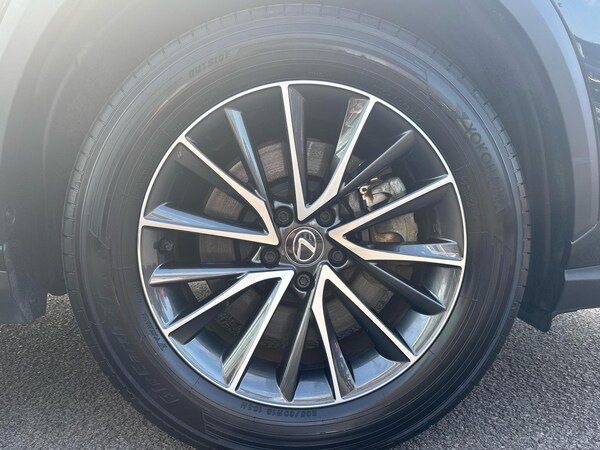 Used Lexus NX 2023 for sale - 75302551: Photo 5