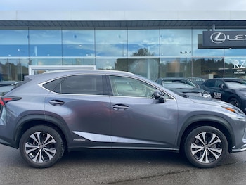 Used Lexus NX 2020 for sale - 75659643: Photo