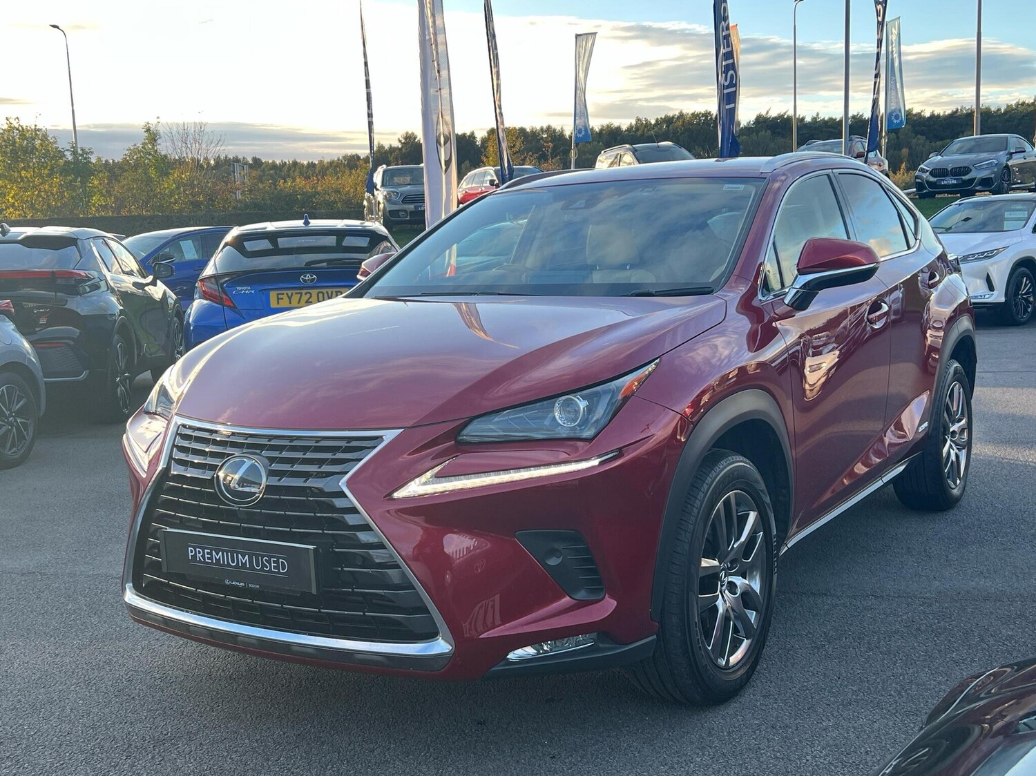 Used Lexus NX 2019 for sale - 76318677: Photo 13