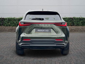 Used Lexus NX 2024 for sale - 77254462: Photo