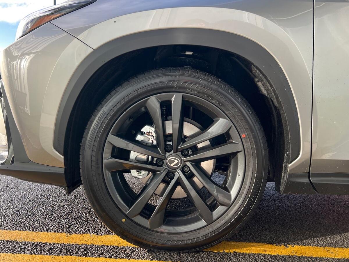 Used Lexus NX 2025 for sale - 76670955: Photo 16