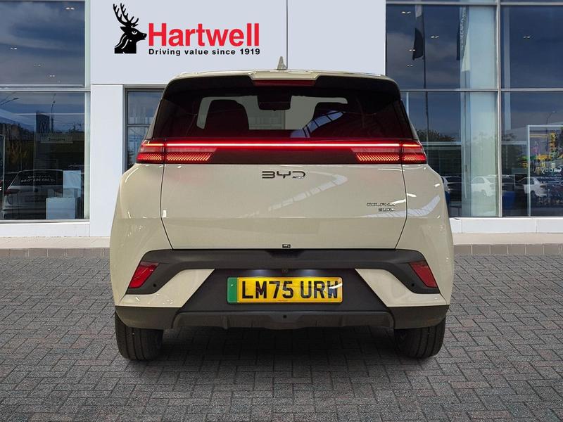 Used BYD Dolphin 2025 for sale - 77315813: Photo 5